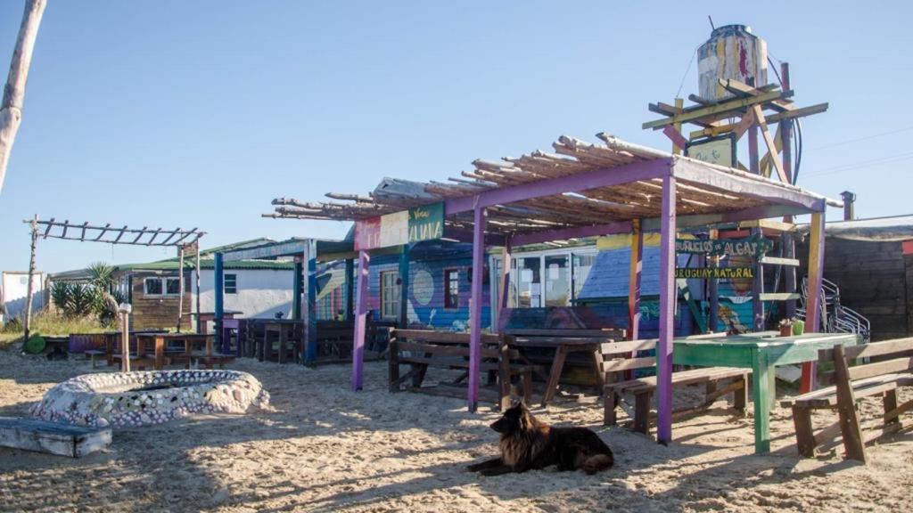 Lobo Hostel Bar Кабо-Полонио Экстерьер фото